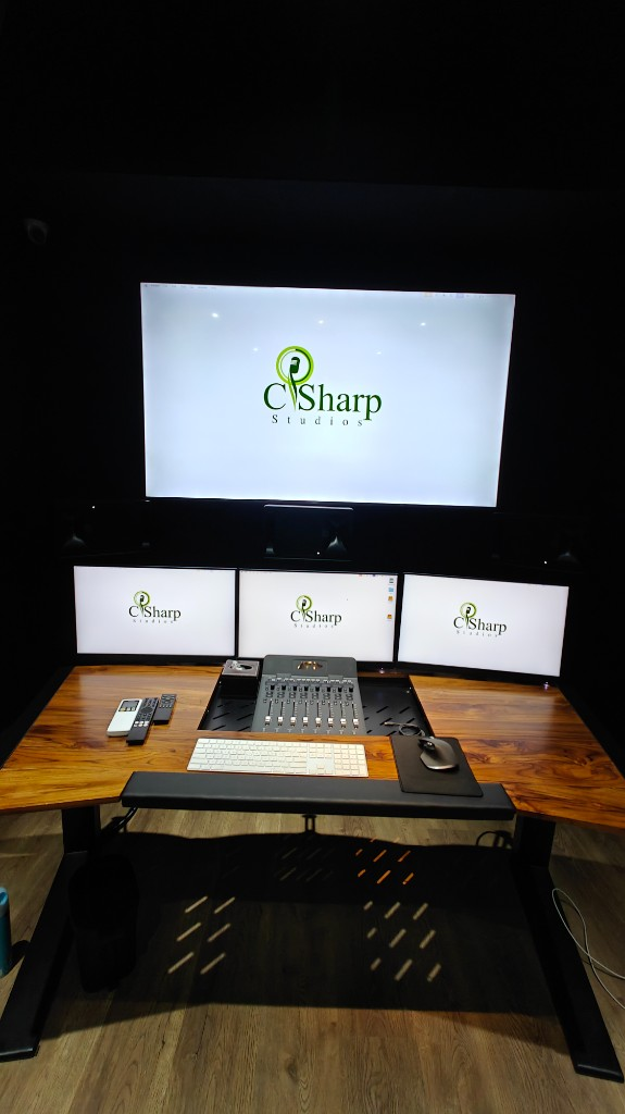 C Sharp Recording Studio — Branch 5, photo 5