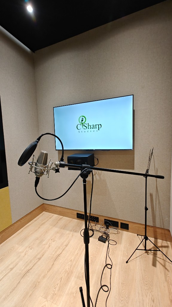 C Sharp Recording Studio — Branch 5, photo 20