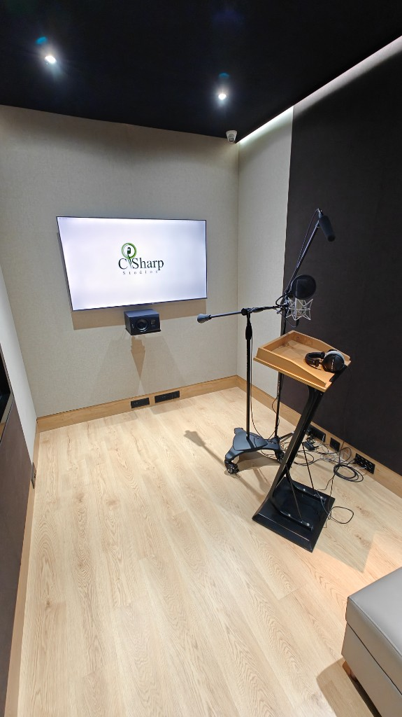 C Sharp Recording Studio — Branch 5, photo 22