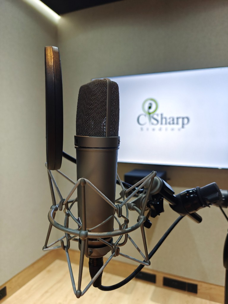 C Sharp Recording Studio — Branch 5, photo 8